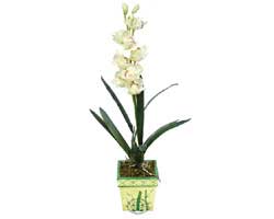 zel Yapay Orkide Beyaz   Samsun iekiler 