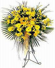  Samsun internetten çiçek satışı  Sari kazablanka Ferforje