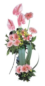  Samsun çiçek siparişi sitesi  Pembe Antoryum Harikalar Rüyasi