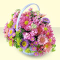  Samsun internetten çiçek satışı  bir sepet dolusu kir çiçegi  Samsun online çiçek gönderme sipariş 