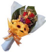 güller ve gerbera çiçekleri   Samsun online çiçek gönderme sipariş 