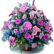 karisik mevsim kir çiçekleri  Samsun online çiçek gönderme sipariş 