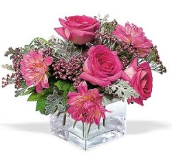  Samsun çiçek gönderme sitemiz güvenlidir  cam içerisinde 5 gül 7 gerbera çiçegi