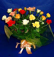 Samsun çiçek online çiçek siparişi  13 adet karisik renkli güller