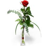  Samsun uluslararası çiçek gönderme  1 adet kirmizi gül cam yada mika vazo içerisinde