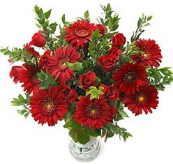 5 adet kirmizi gül 5 adet gerbera aranjmani  Samsun çiçek online çiçek siparişi 