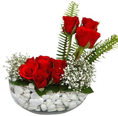 cam içerisinde 9 adet kirmizi gül  Samsun online çiçekçi , çiçek siparişi 