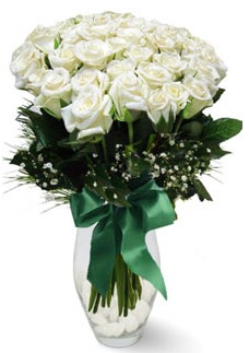 19 adet essiz kalitede beyaz gül  Samsun güvenli kaliteli hızlı çiçek 