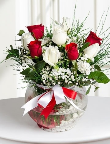 Aşk Küresi  5 beyaz 5 kırmızı gül fanusta  Samsun kaliteli taze ve ucuz çiçekler 